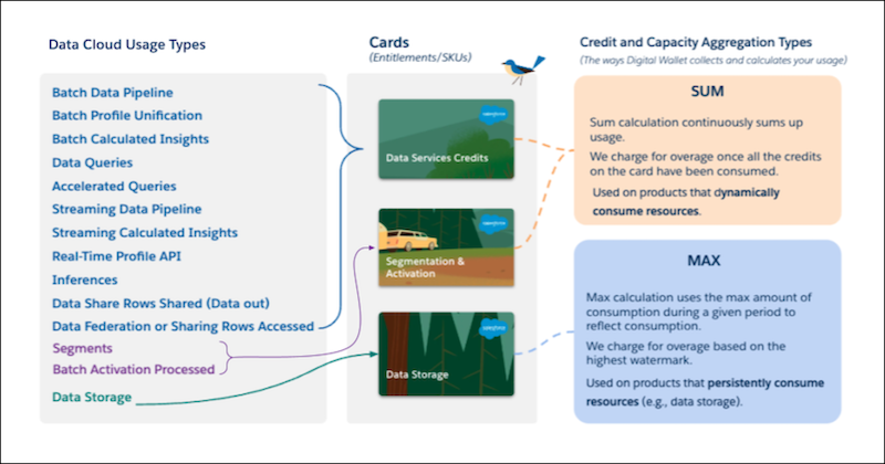 Salesforce Digital Wallet usage calculation