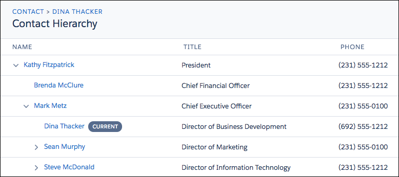 salesforce contact hierarchy