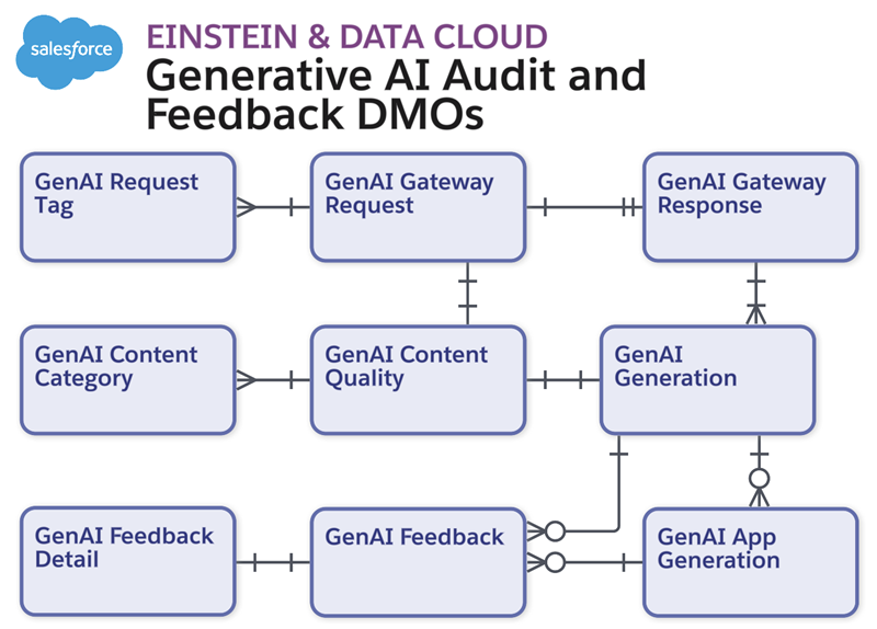 Data Model for Generative AI Audit and Feedback
