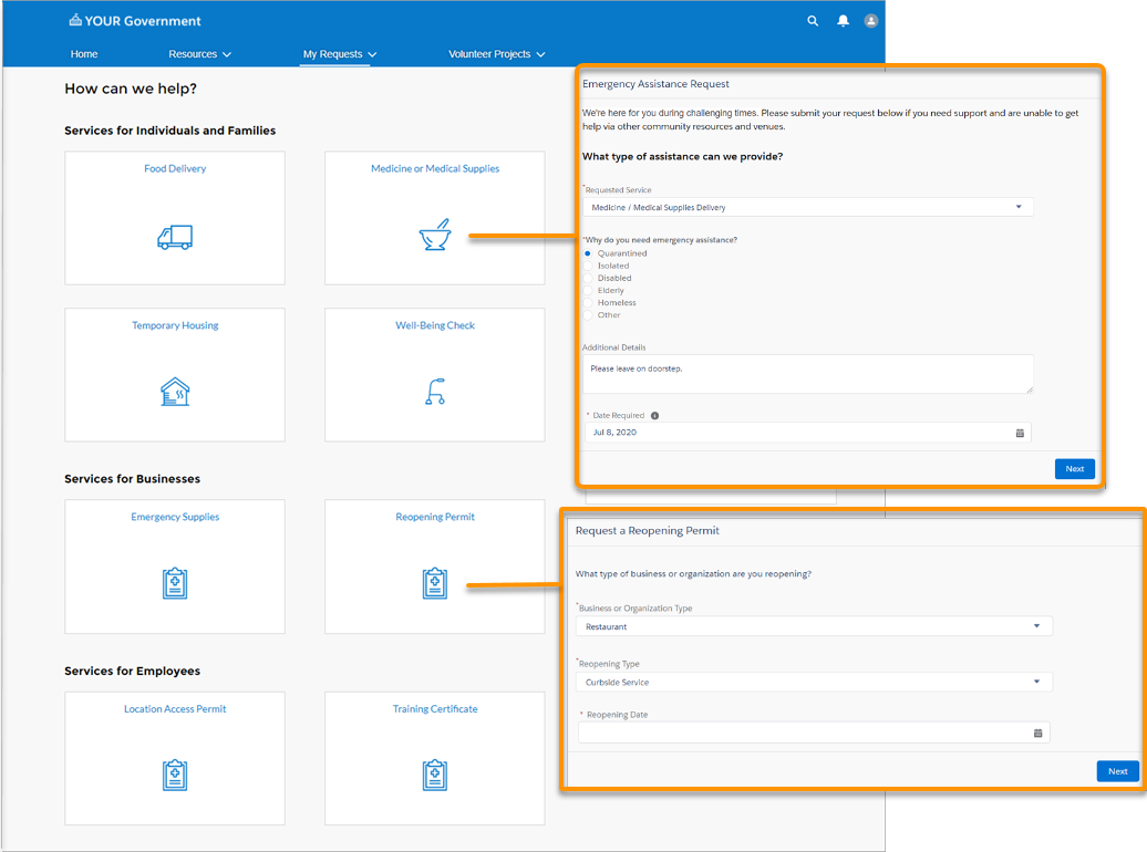 Emergency Program Management for Public Sector