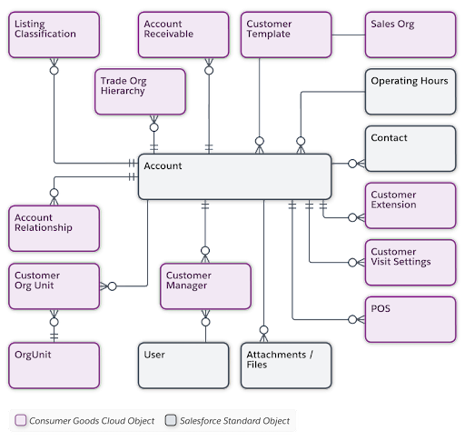 Customer Master Data and Related Key Objects
